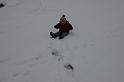 Picture 2790
